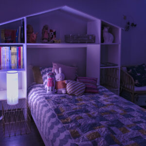éclairage chambre d'enfant - Antalya E14 Easy FR Dual Pack Détouré 1600x1600 + logos assistants vocaux google et amazon alexa - main