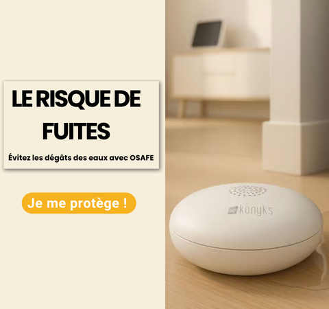 Sécurité du domicile, Osafe Konyks 