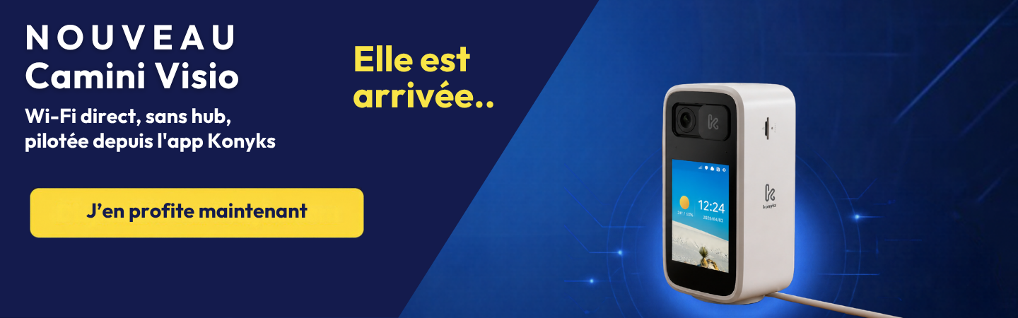 Caméra surveillance avec écran lcd et visio possible - 5 ghz - Camini Visio Konyks