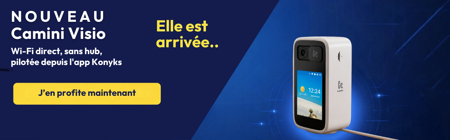 Caméra surveillance avec écran lcd et visio possible - 5 ghz  - Camini Visio Konyks